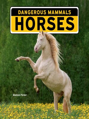 cover image of Horses